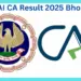ICAI CA Result 2025
