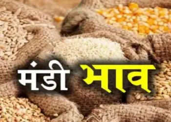 इंदौर मंडी भाव।