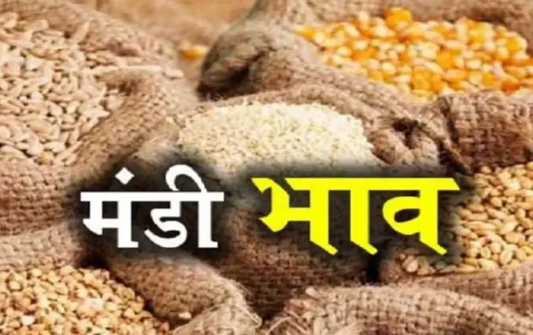 इंदौर मंडी भाव।