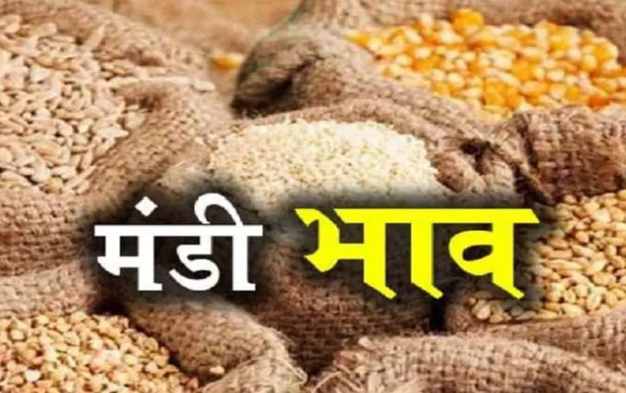 इंदौर मंडी भाव।