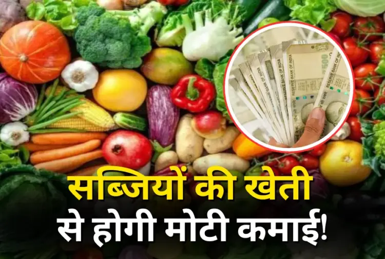 Low Cost High Profit Business Idea