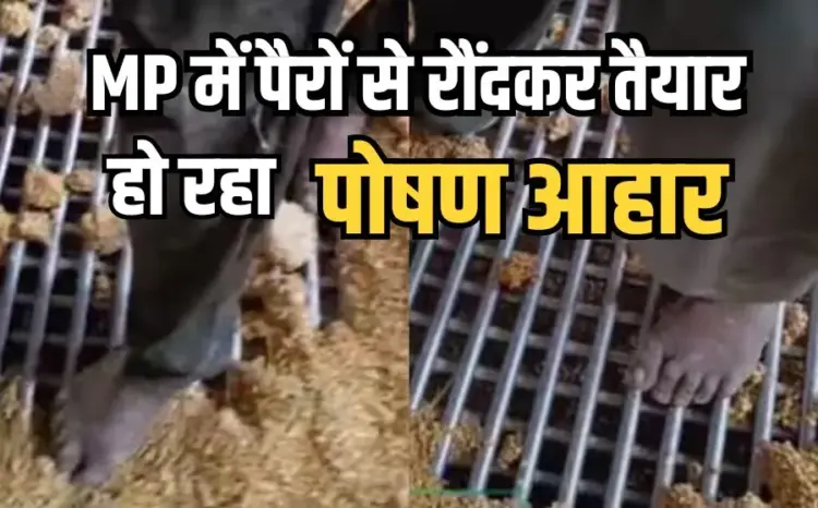 Rewa News