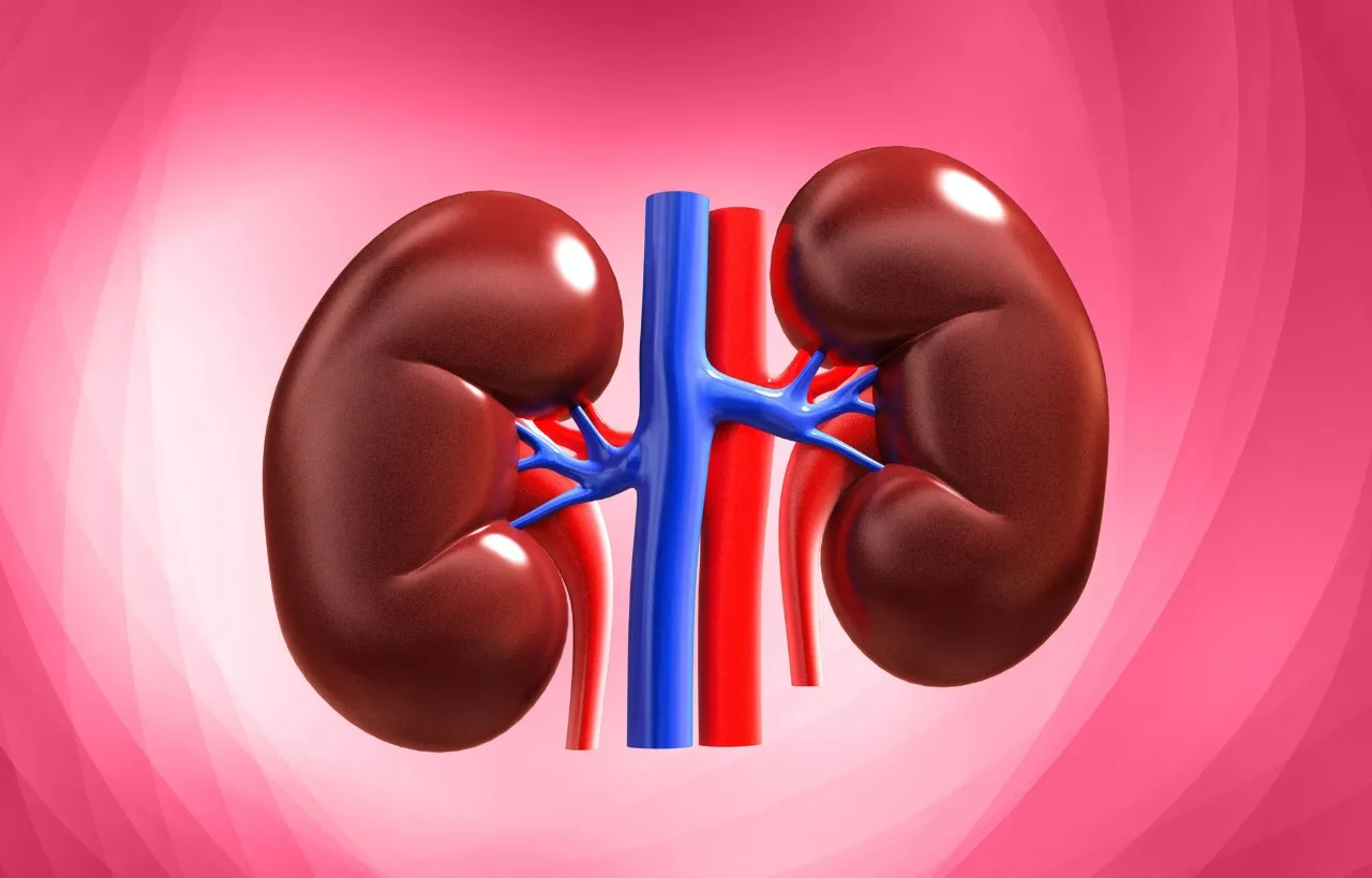 Black Salt Side Effects on kidney