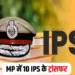 MP IPS Transfer