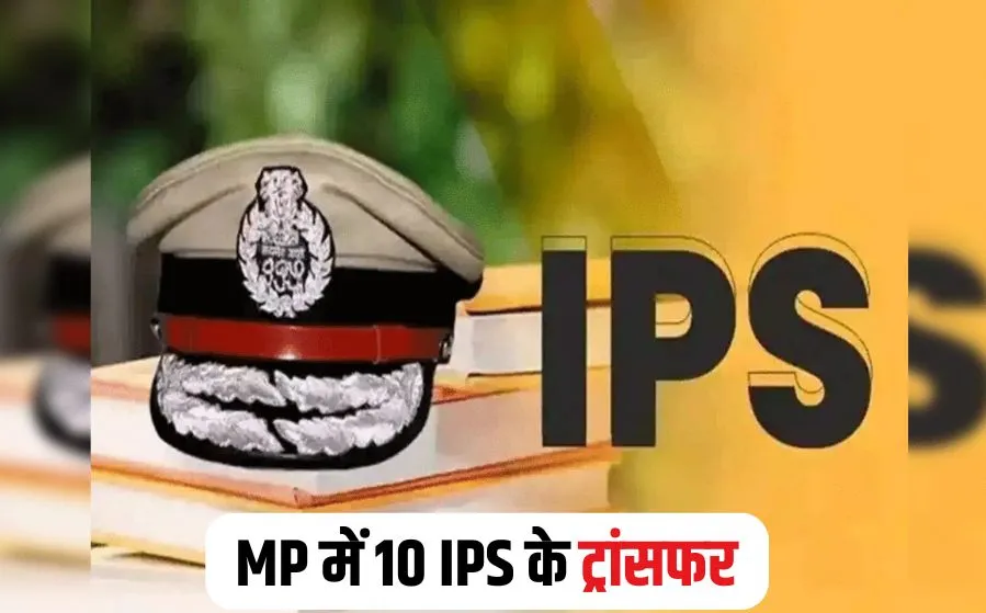 MP IPS Transfer