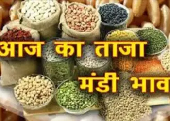इंदौर मंडी भाव,7 अप्रैल 2025