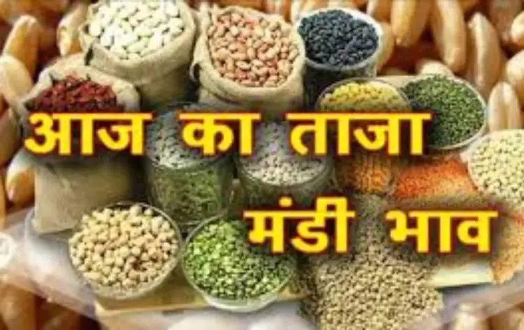 इंदौर मंडी भाव,7 अप्रैल 2025