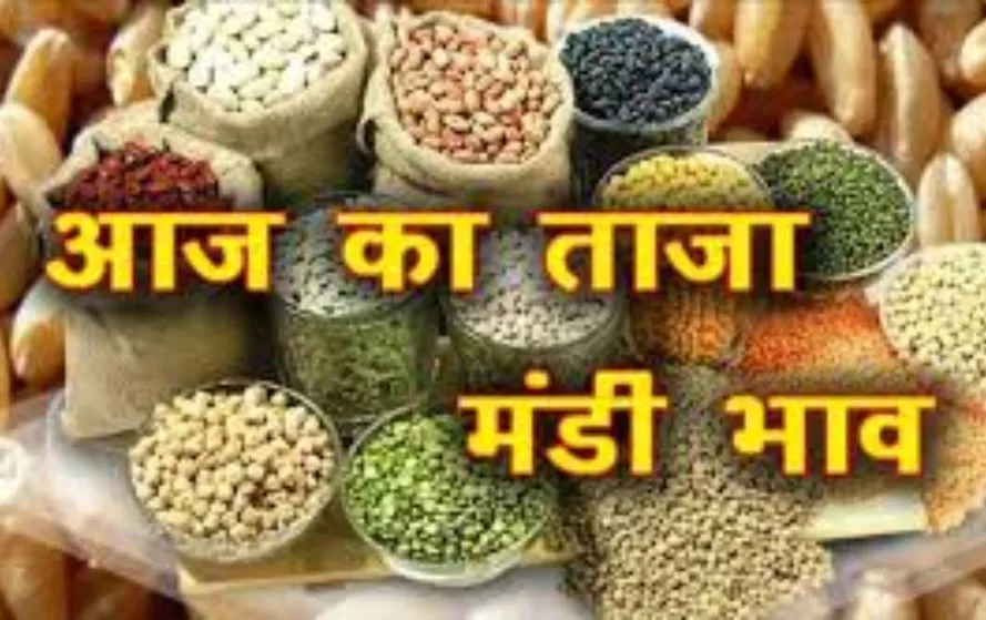 इंदौर मंडी भाव,7 अप्रैल 2025