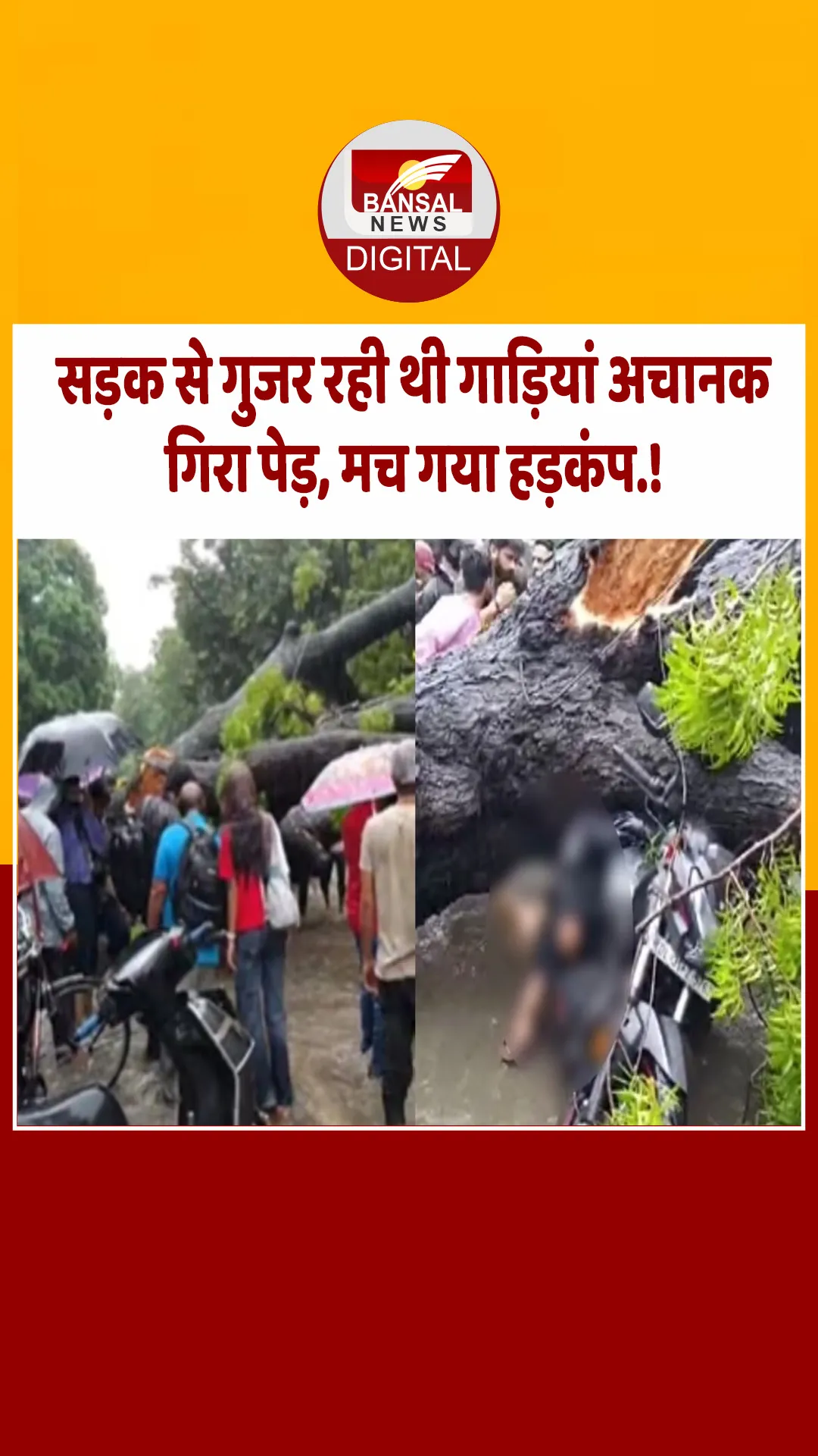 दिल्ली: कालकाजी में बाइक सवार पर गिरा पेड़, चपेट में आए कई लोग, मौके पर ही हो गई युवक की मौत