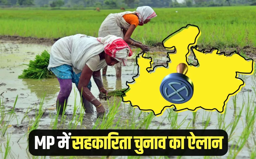 MP Agriculture Cooperative Election