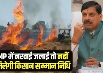 mp me narwai jalane wale kisano par action pm kisan samman nidhi msp cm mohan yadav