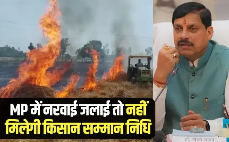 mp me narwai jalane wale kisano par action pm kisan samman nidhi msp cm mohan yadav
