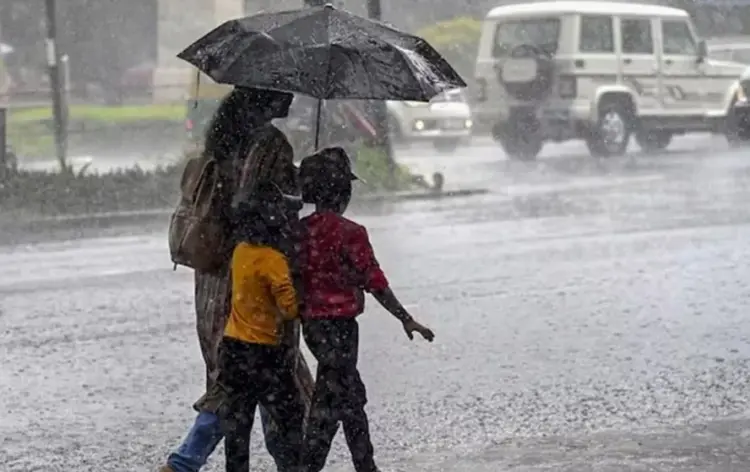 mp monsoon 2025