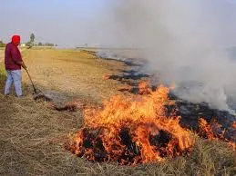 MP parali jalane par jurmana