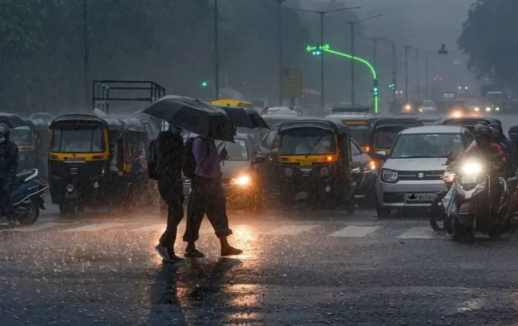 mp monsoon 2025