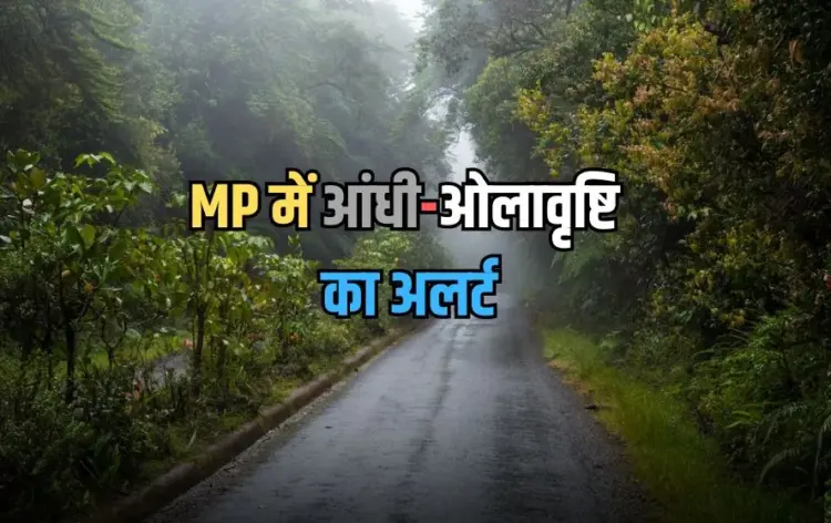 मध्यप्रदेश वेदर अपडेट (फोटो-फ्रीपीक)