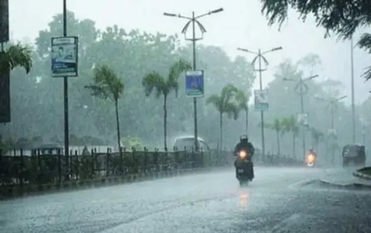 MP Weather Update: किसानों को नुकसान, बारिश और ओलावृष्टि का असर। (फाइल फोटो)