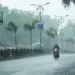 MP Weather Update: किसानों को नुकसान, बारिश और ओलावृष्टि का असर। (फाइल फोटो)
