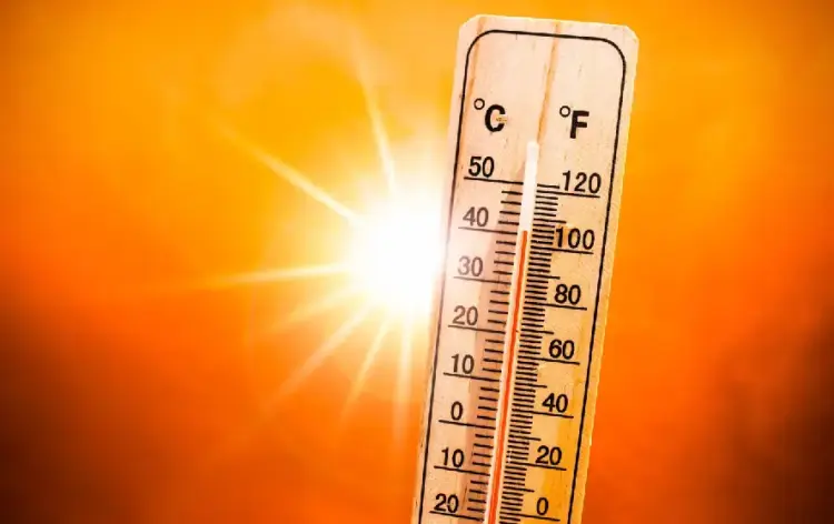 UP Weather Forecast