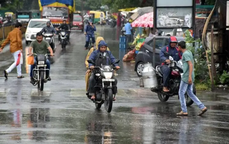 MP Weather