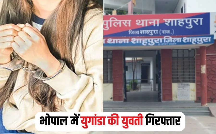 MP News