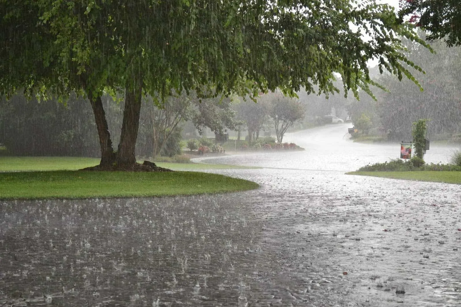 rainfall