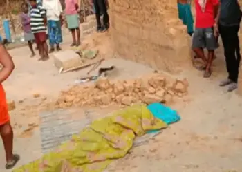 Raigarh Elephant Attack