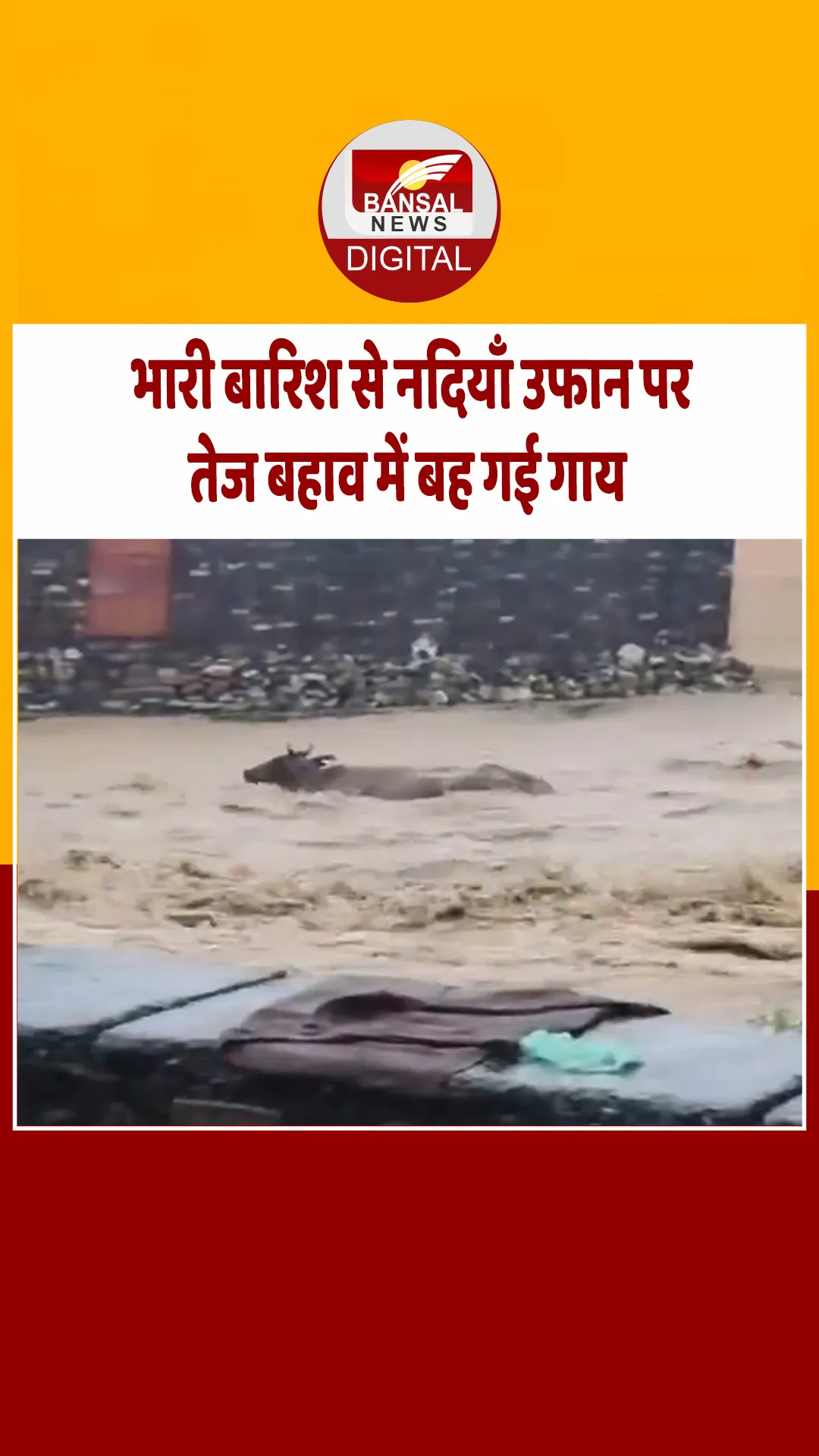 Dehradun : बारिश से उफनती नदी, तेज बहाव में बहते मलबे और पानी में फंसे जानवर,Video वायरल