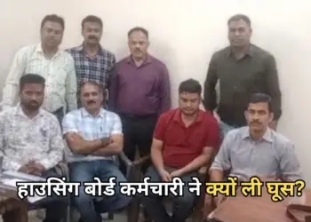 MP News