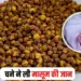 Rewa News