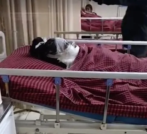 Madhya Pradesh Jabalpur Acid Attack Case