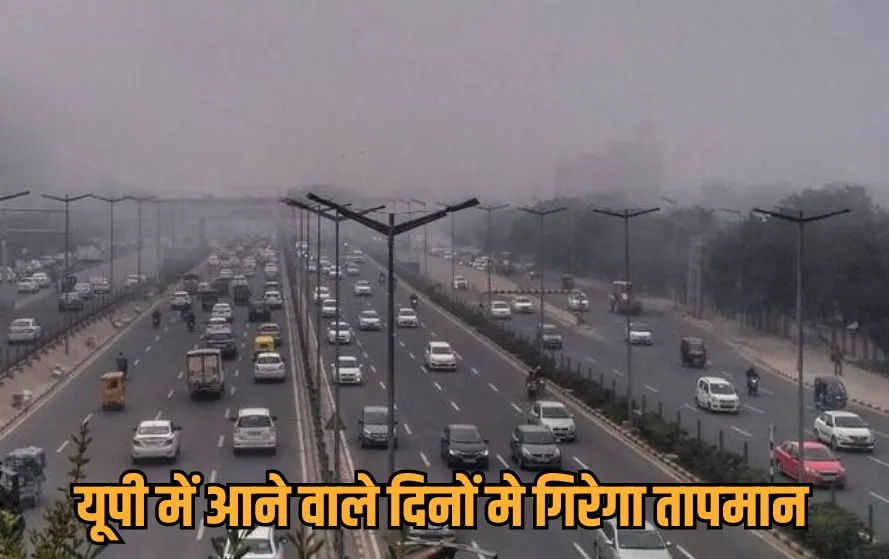 UP Potato Seed Subsidy: यूपी सरकार का बड़ा फैसला, आलू बीज पर किसानों को 800 रुपये प्रति क्विंटल की छूट UP Potato Seed Subsidy: यूपी सरकार का बड़ा फैसला, आलू बीज पर किसानों को 800 रुपये प्रति क्विंटल की छूट