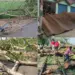UP Lakhimpuri Kheri storm wreaks havoc 3 people died zxc