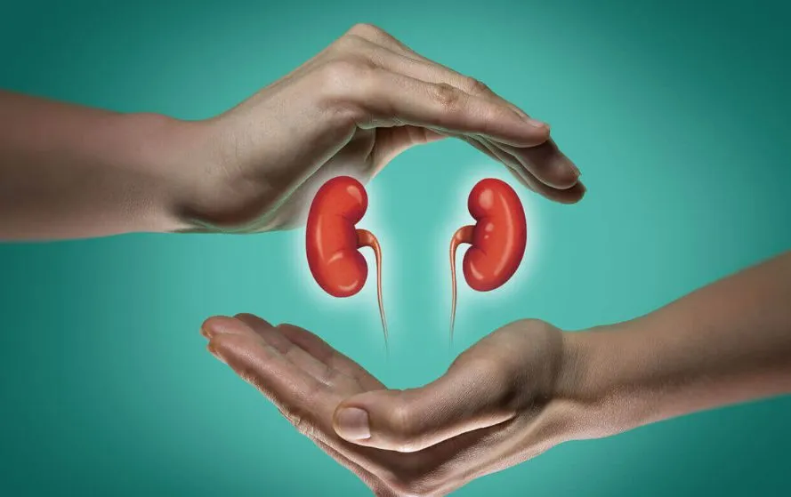 World Kidney Day 2025