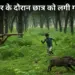 Chhattisgarh News