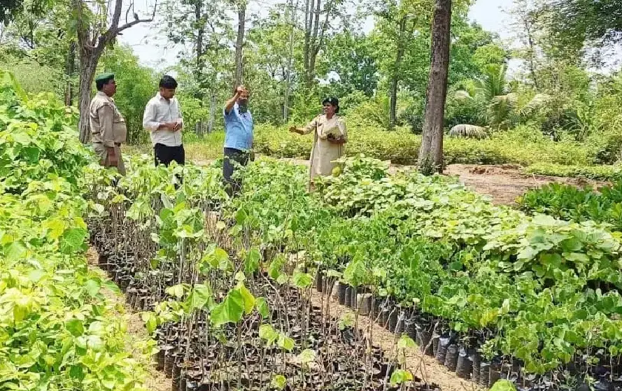 CG Bastar Tourism