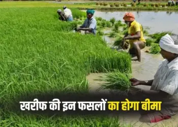PM Fasal Bima Yojana