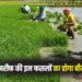 PM Fasal Bima Yojana