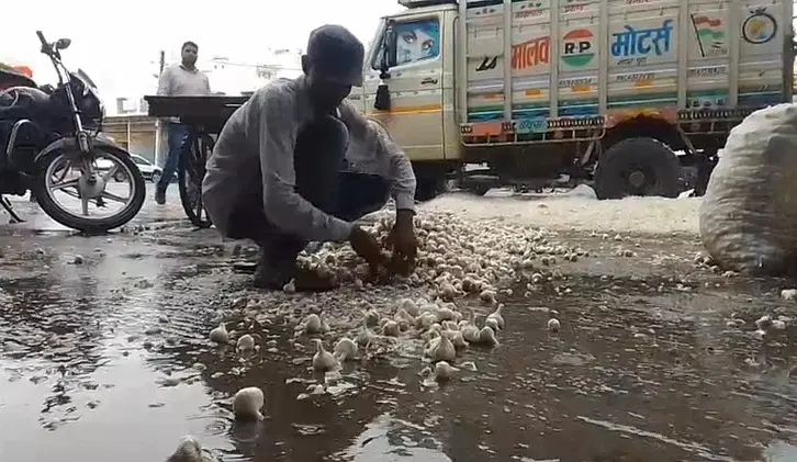 MP Weather
