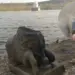 Nandi idol found in Panna